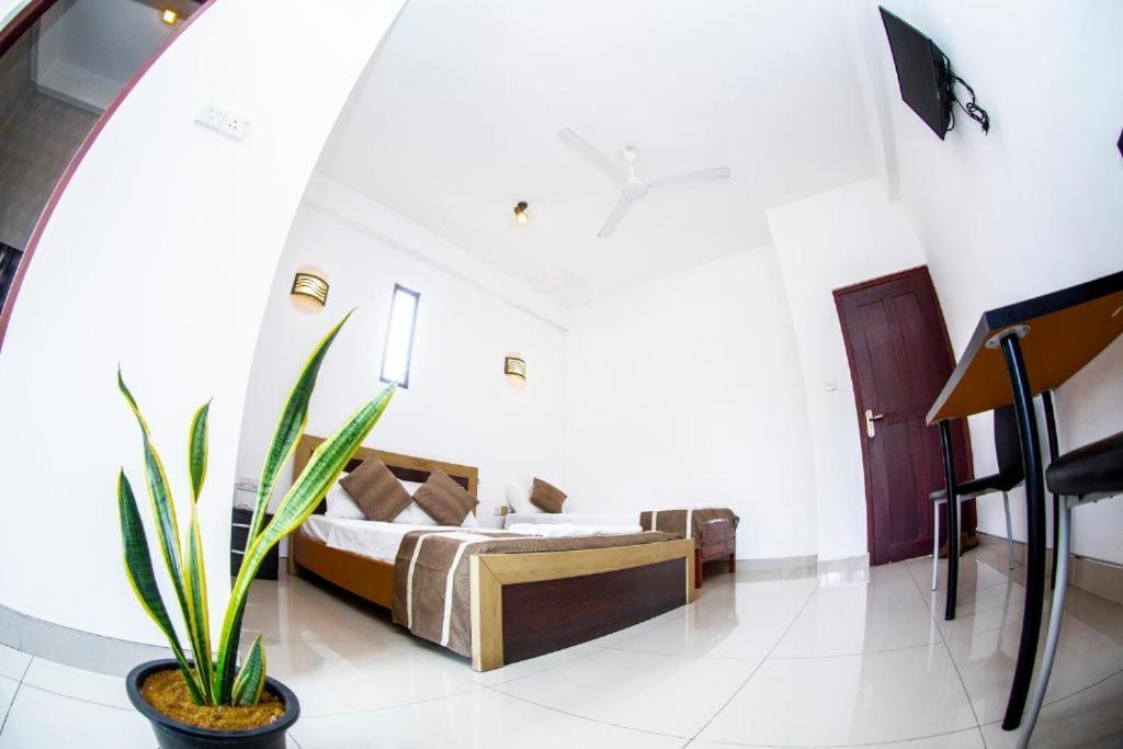 Hotel Blue Bird Негомбо Екстериор снимка